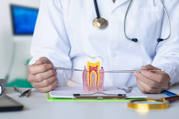Best Urgent Dental Care for Toothaches in South Browning, MT